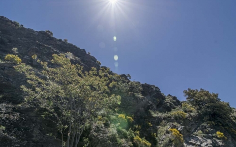 Excelente zona para caminar